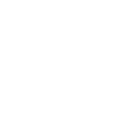 CUPRA Logo weiß