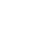 vw logo transparent