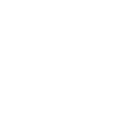 "Volkswagen