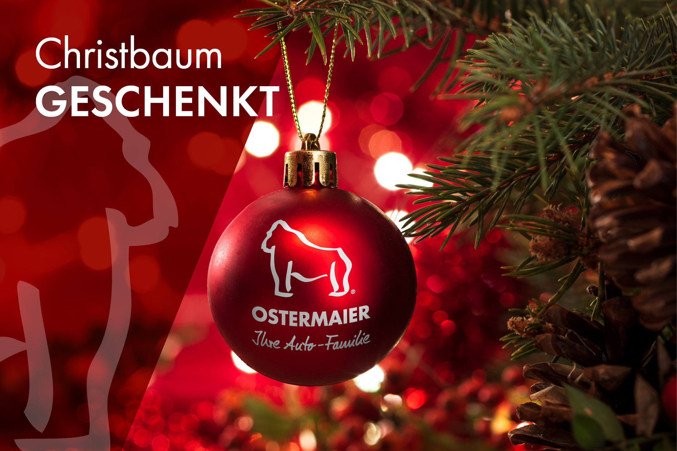 Wir zahlen Ihren Christbaum -