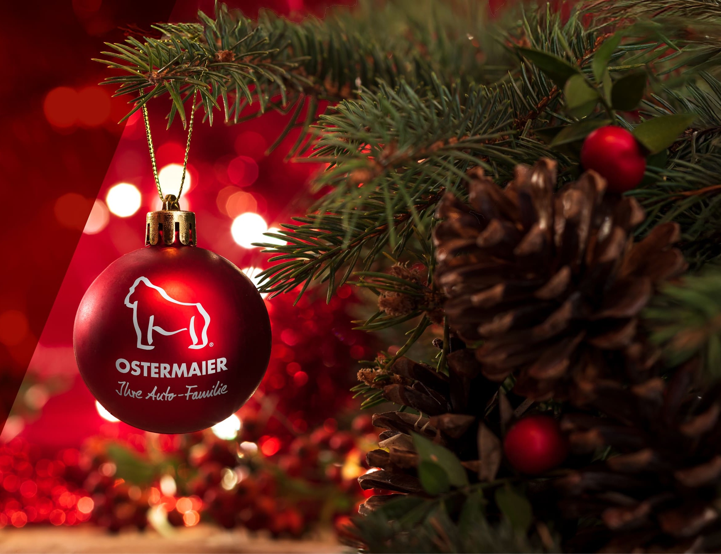 Ostermaier Christbaum-Aktion