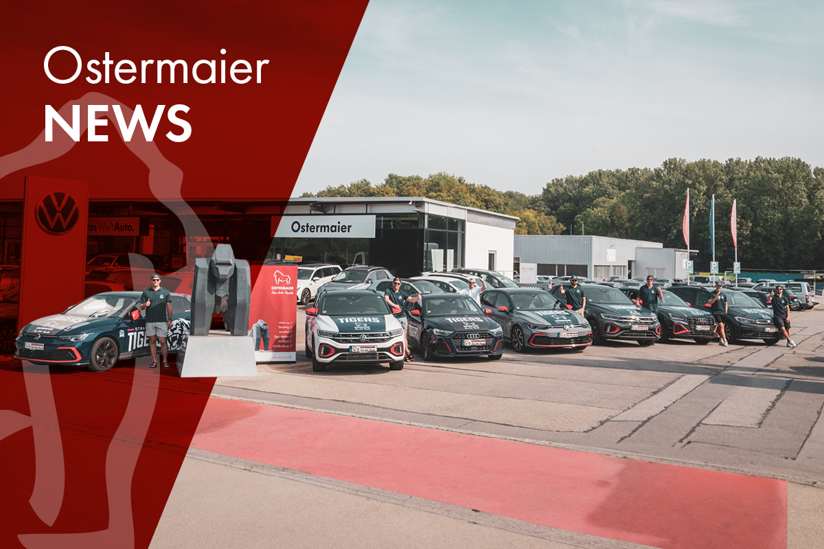 Straubing Tigers und Ostermaier