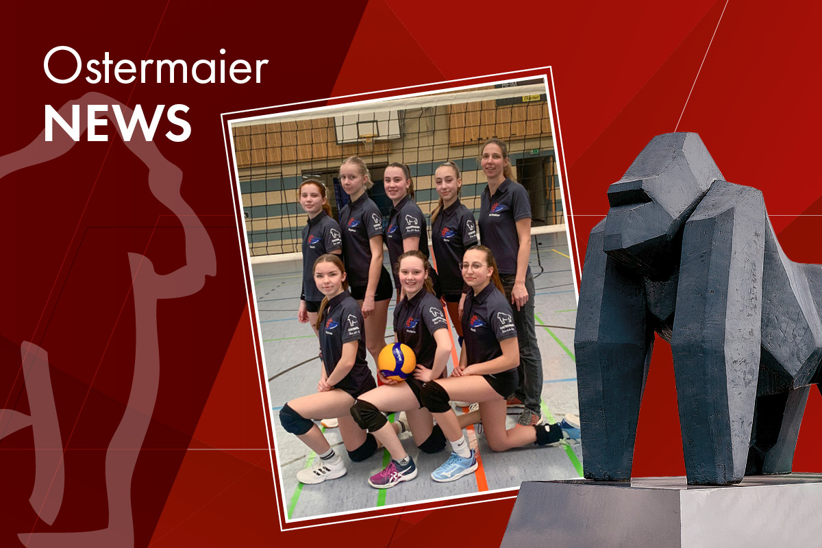 Gorillastarke Leistung,  