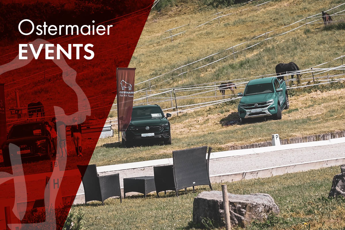 Reitturnier in Münster 