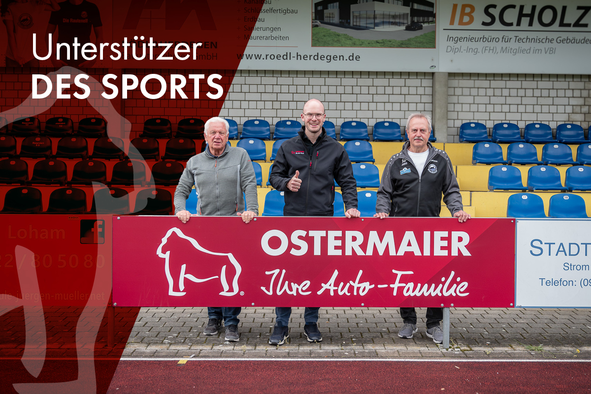 Gorillastarke Bande beim 