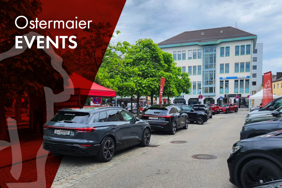 Gorillastark unterwegs