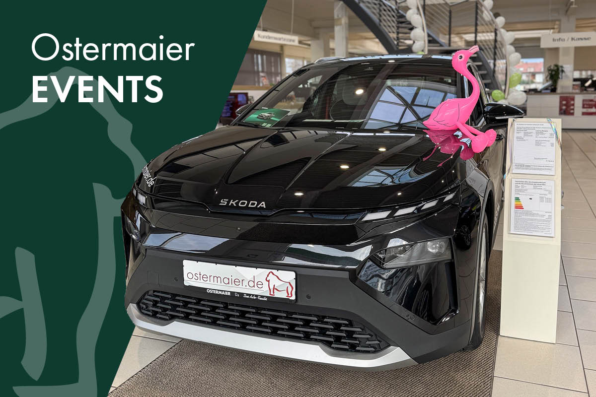 Das Škoda Buffet 2025!