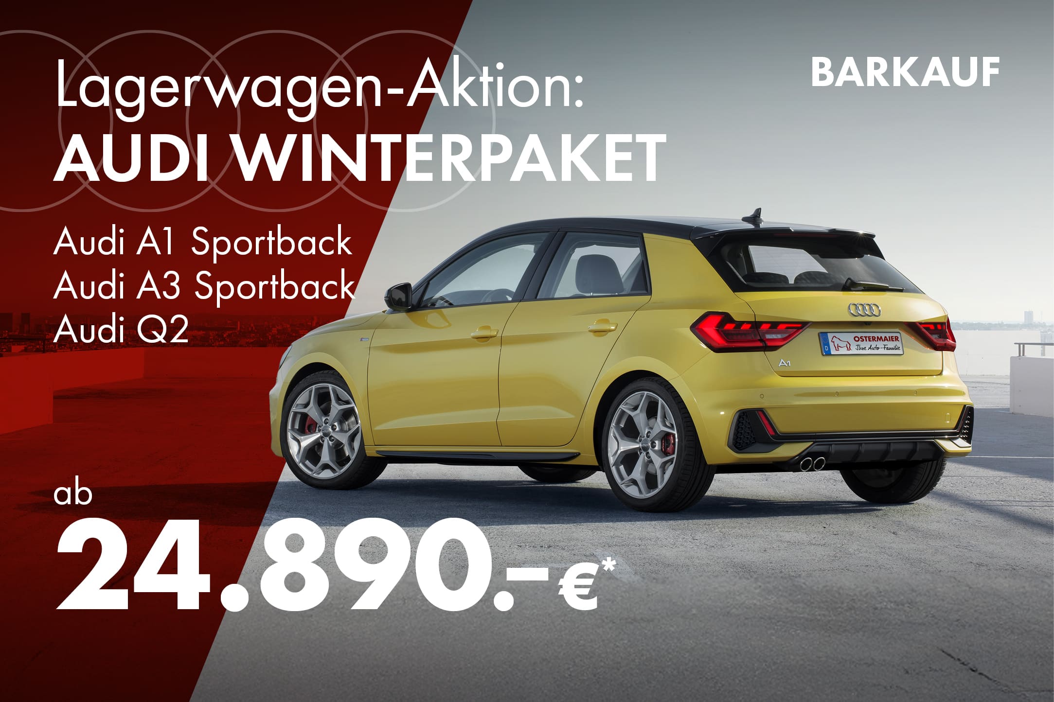 30x Lagerwagen sofort verfügbar