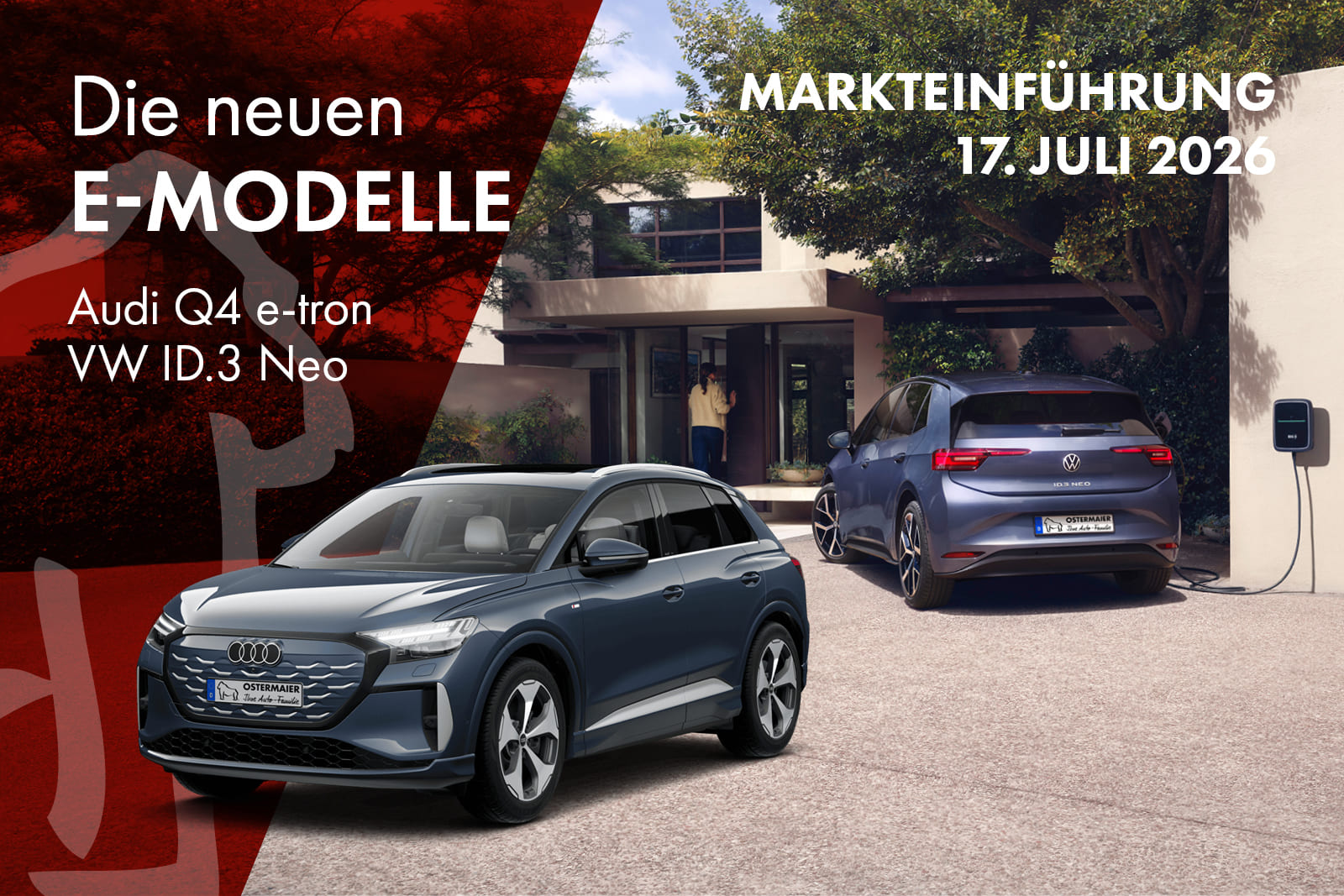 Neue E-Modelle entdecken