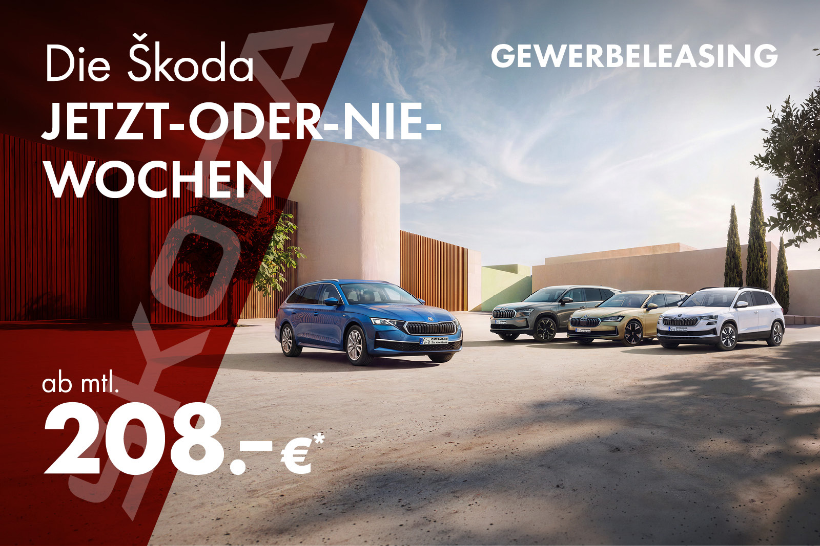 Škoda JETZT-ODER-NIE-Wochen