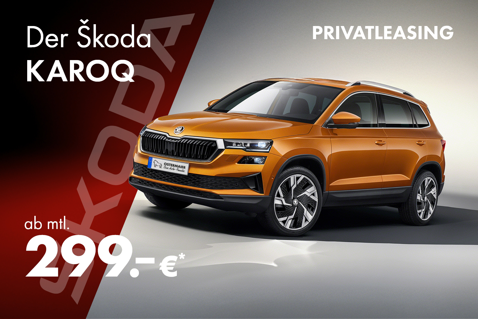Entdecke den Škoda Karoq