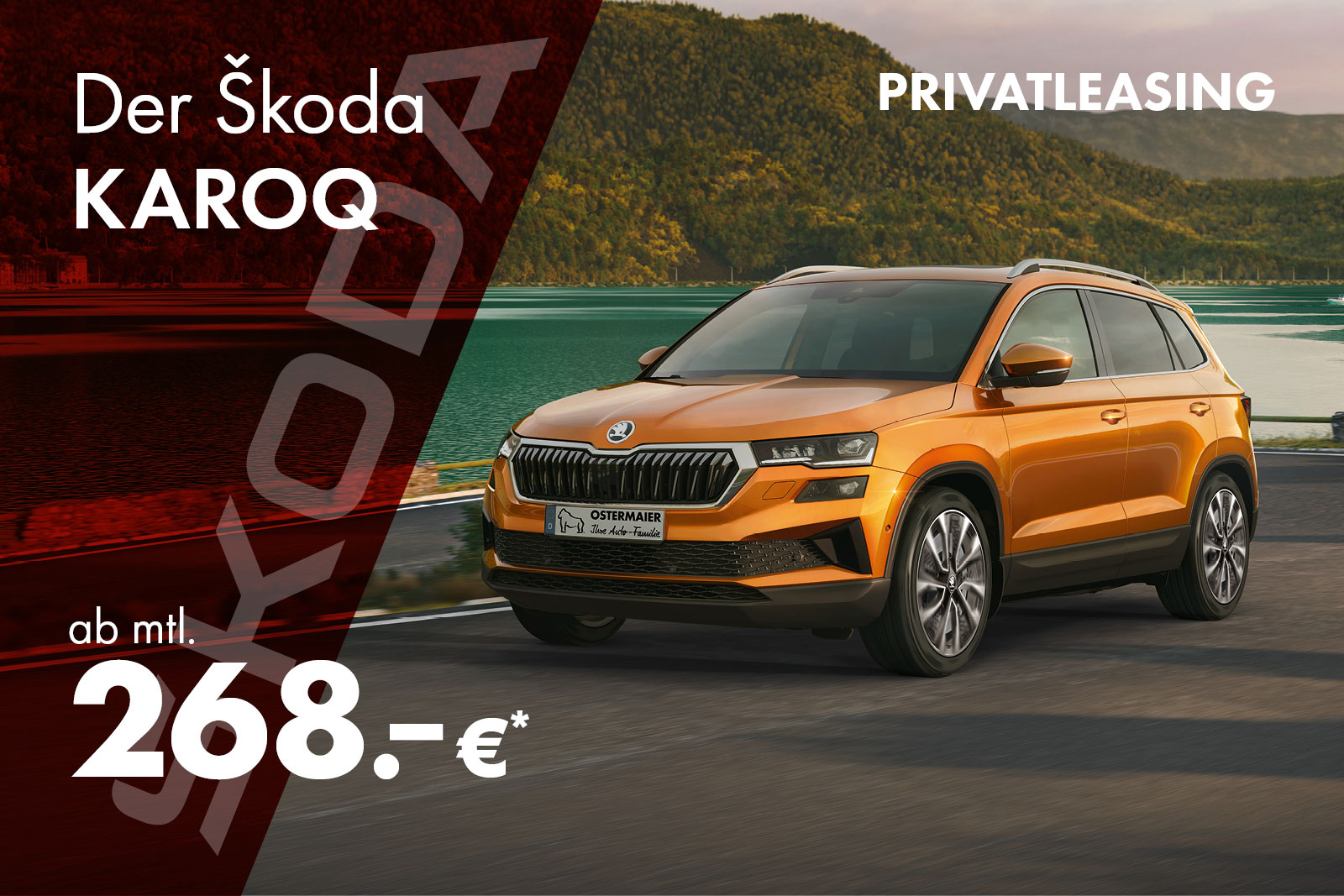 Gorillastarke Sonderaktion: Entdecken Sie den Škoda Karoq!