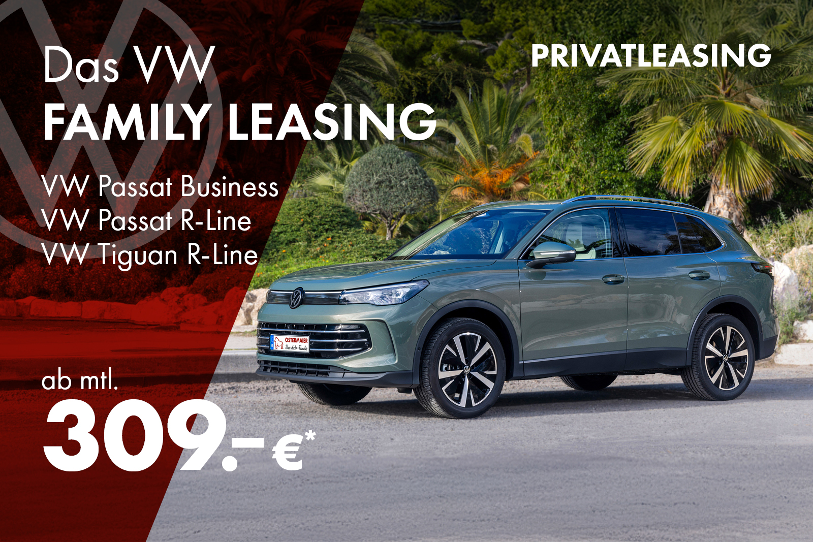 Gorillastark ins neue Jahr starten –