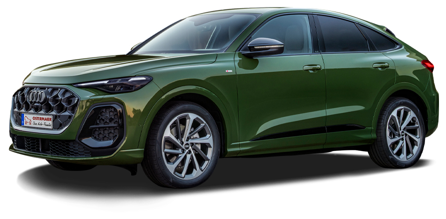 Der Audi Q5 in der 3D-Ansicht