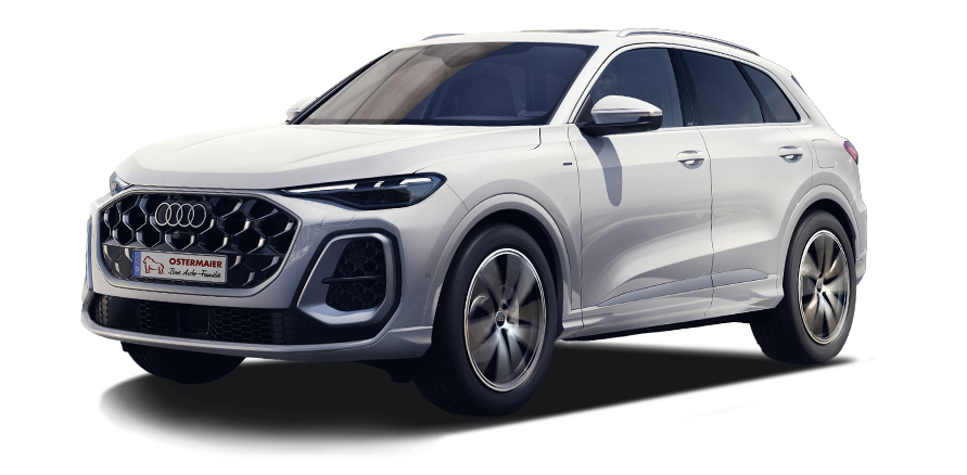 Der Audi Q5 in der 3D-Ansicht