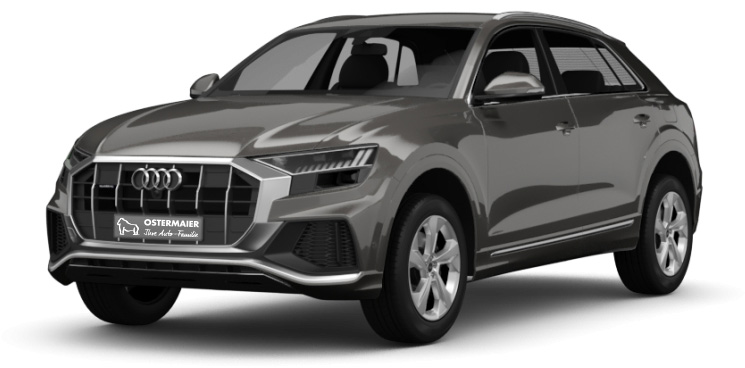 Der Audi Q8 e-tron in der 3D-Ansicht