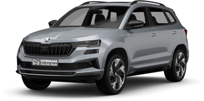 Der Škoda Karoq in der 3D-Ansicht