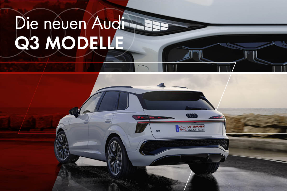 Der Audi Q3 vor einem Horizont