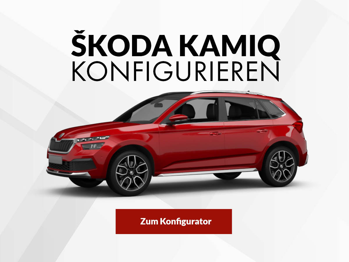 Škoda Kamiq konfigurieren 