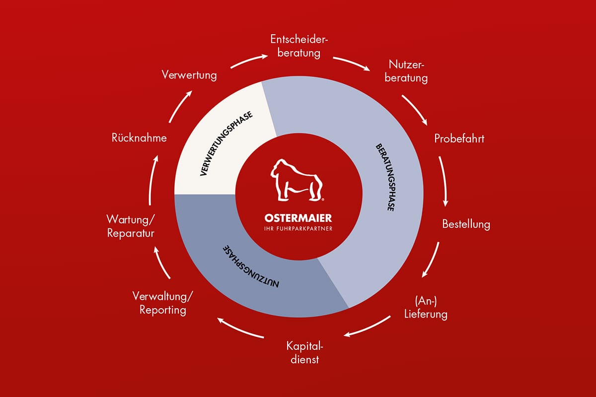 Grafik zu Phasen für Großkunden