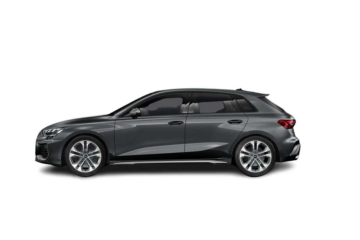 grauer S3